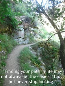 finding your path in life